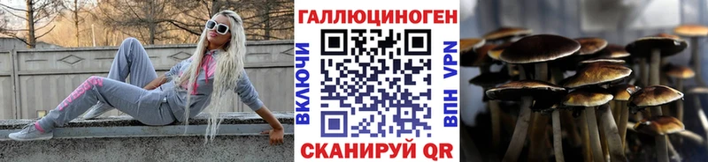 дарнет шоп Балей Галлюциногенные грибы MAGIC MUSHROOMS